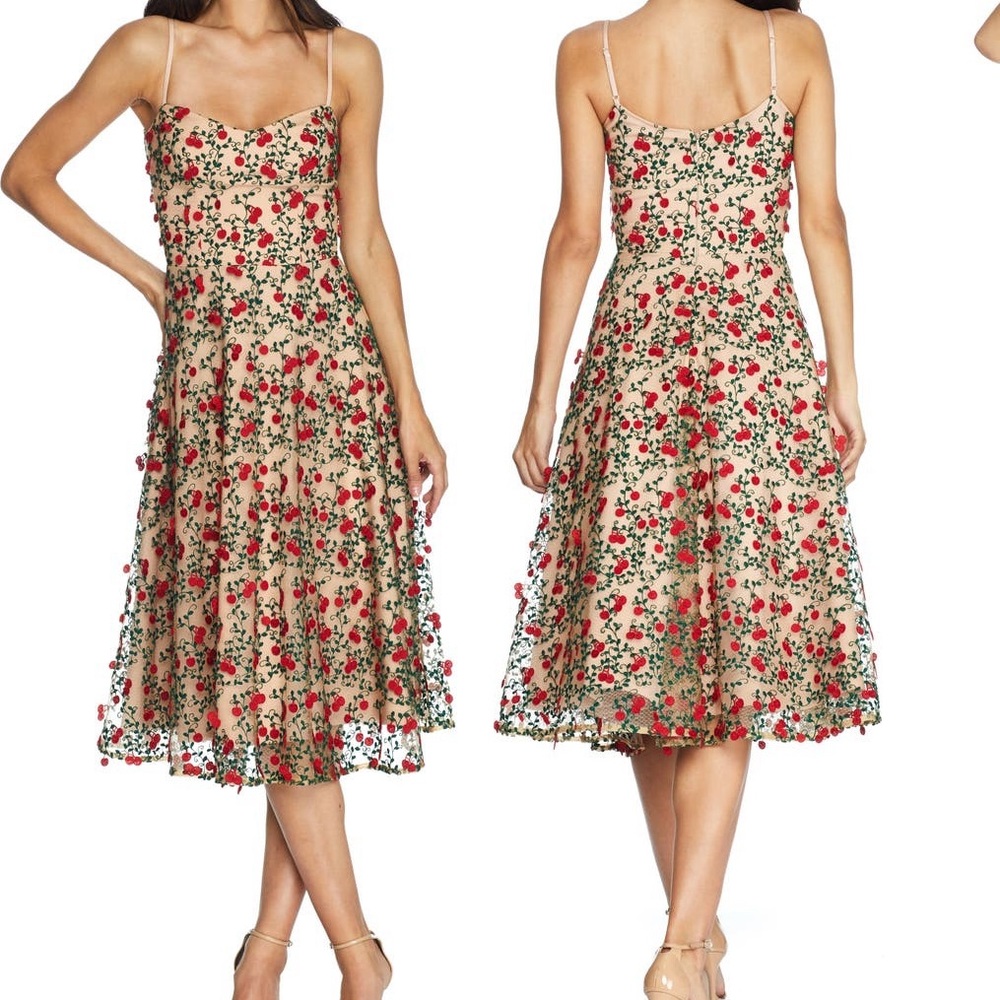 Dress the Population dress